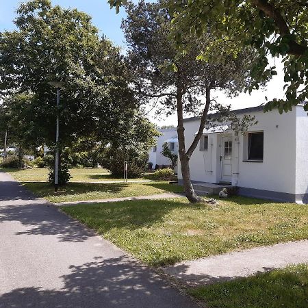Ferienhaeuschen Kuestenwald Bei Warnemuende, Eigener Garten, Terrasse Mit Strandkorb, 400M Zum Strand Diedrichshagen  Eksteriør billede