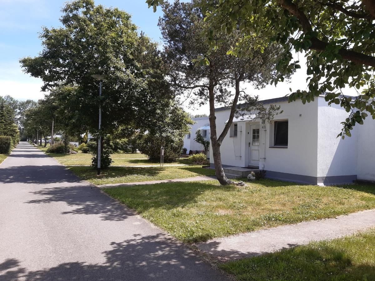 Ferienhaeuschen Kuestenwald Bei Warnemuende, Eigener Garten, Terrasse Mit Strandkorb, 400M Zum Strand Diedrichshagen  Eksteriør billede