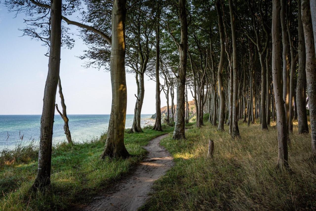 Ferienhaeuschen Kuestenwald Bei Warnemuende, Eigener Garten, Terrasse Mit Strandkorb, 400M Zum Strand Diedrichshagen  Eksteriør billede